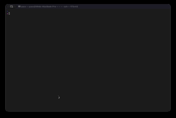 Pace App Dockerized